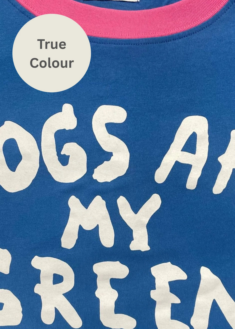 The Very Oversized Green Flag Tee - Pink/Blue