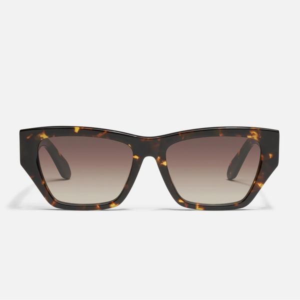 No Apologies - Tort / Yellow Brown