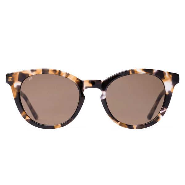 Now Or Never Sunglasses - Chestnut Tort