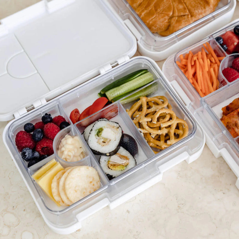 Bento Box - Seashell
