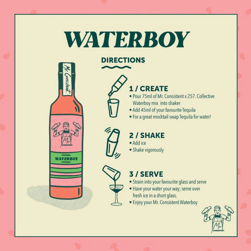Waterboy Cocktail Mixer